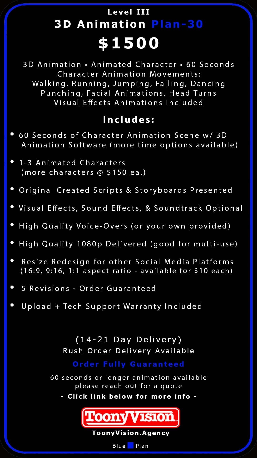 ToonyVision Animation Advertisement 3D Packages Level III-Plan 30 - ToonyVision