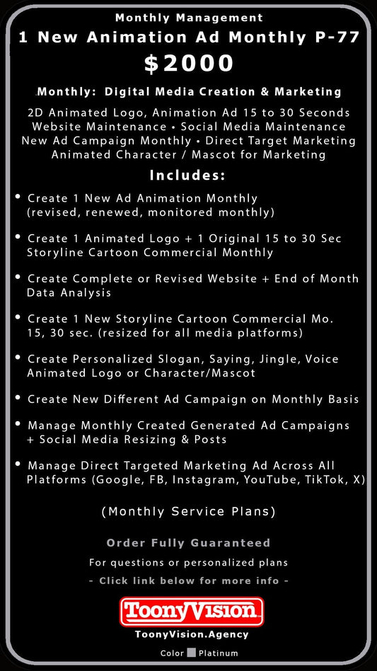 ToonyVision Animation Advertisement Monthly Management Package Plans - ToonyVision