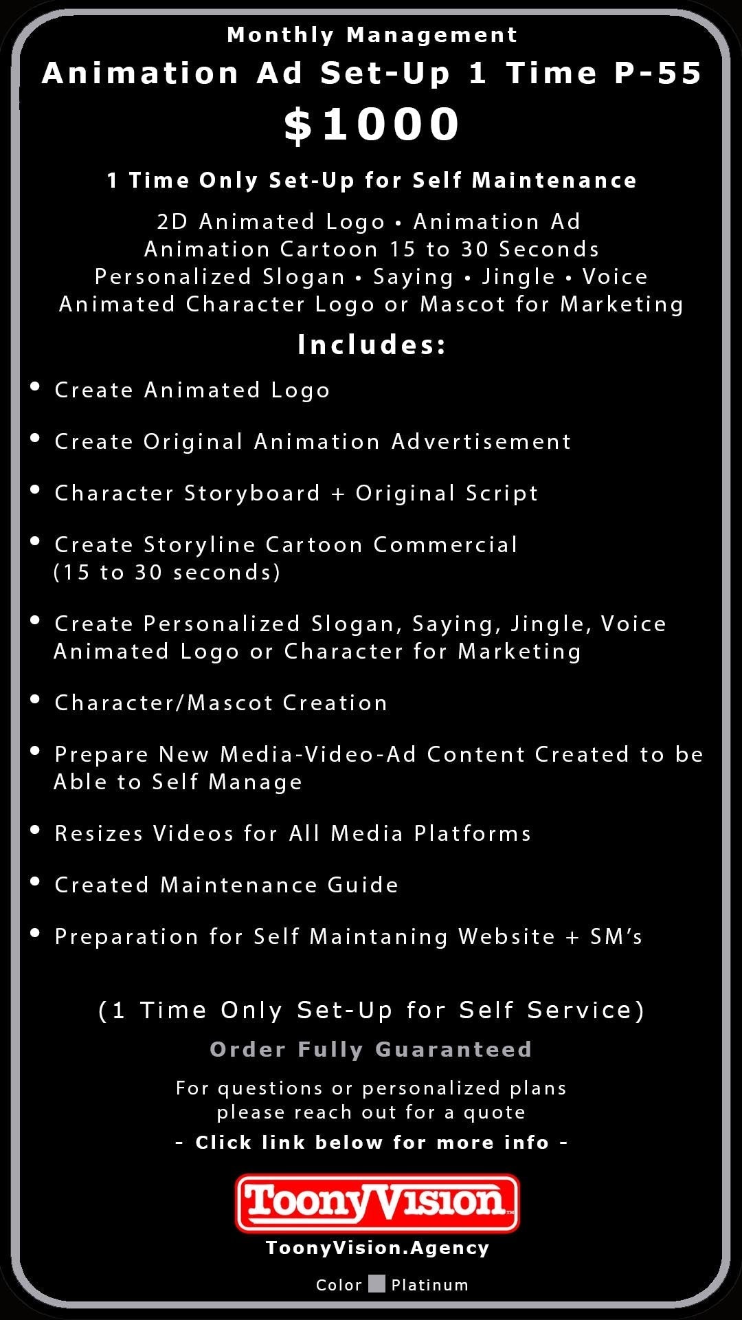 ToonyVision Animation Advertisement Monthly Management Package Plans - ToonyVision
