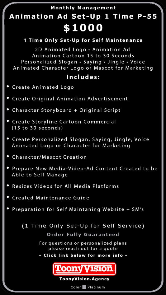ToonyVision Animation Advertisement Monthly Management Package Plans - ToonyVision