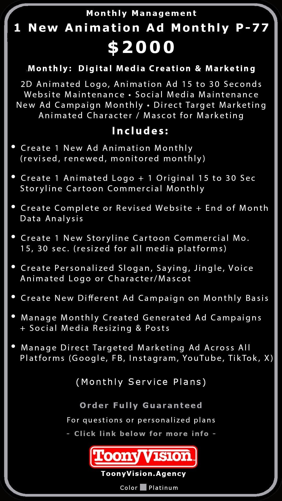 ToonyVision Animation Advertisement Monthly Management Package Plans - ToonyVision